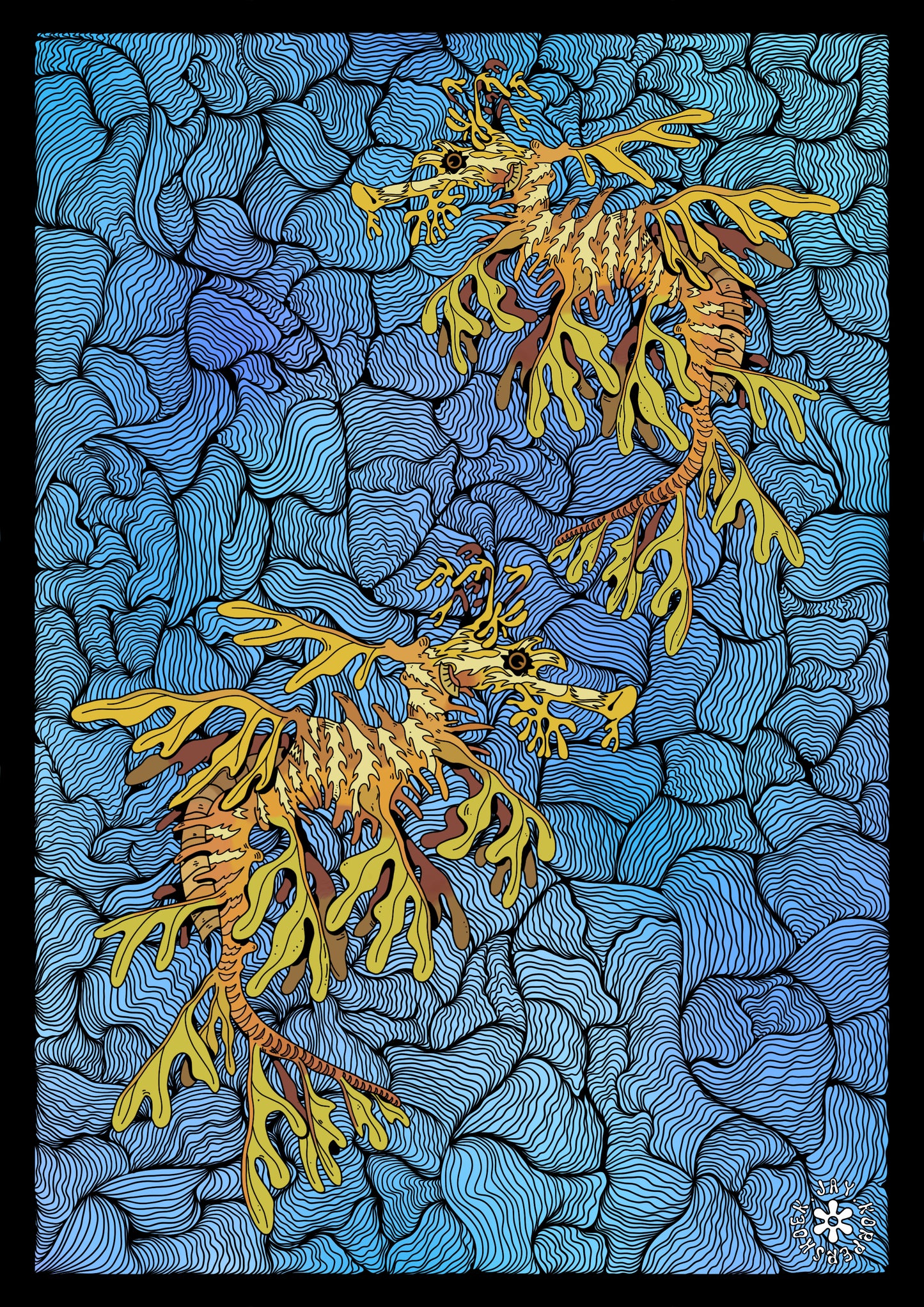 Leafy sea dragon