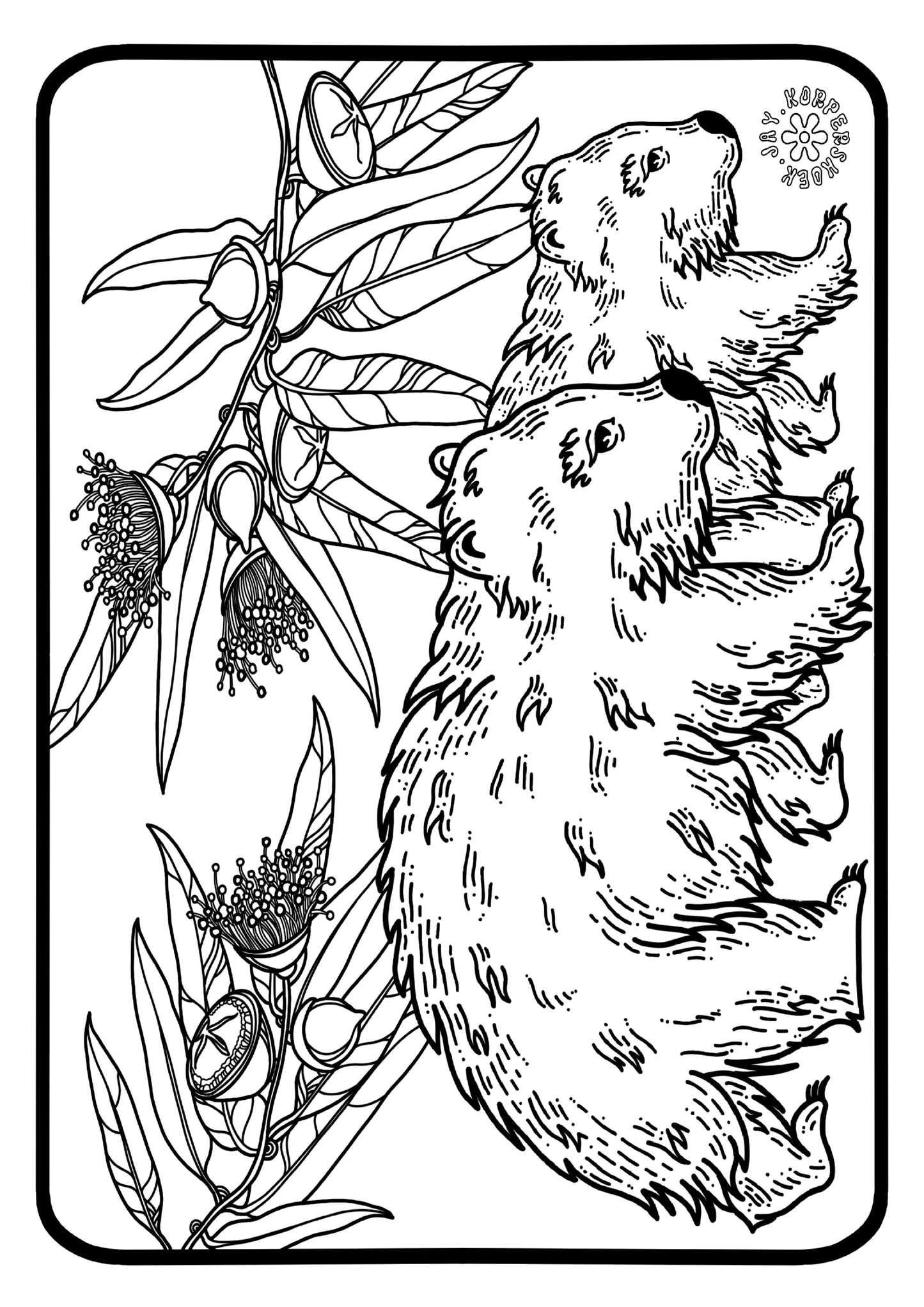 Wombats