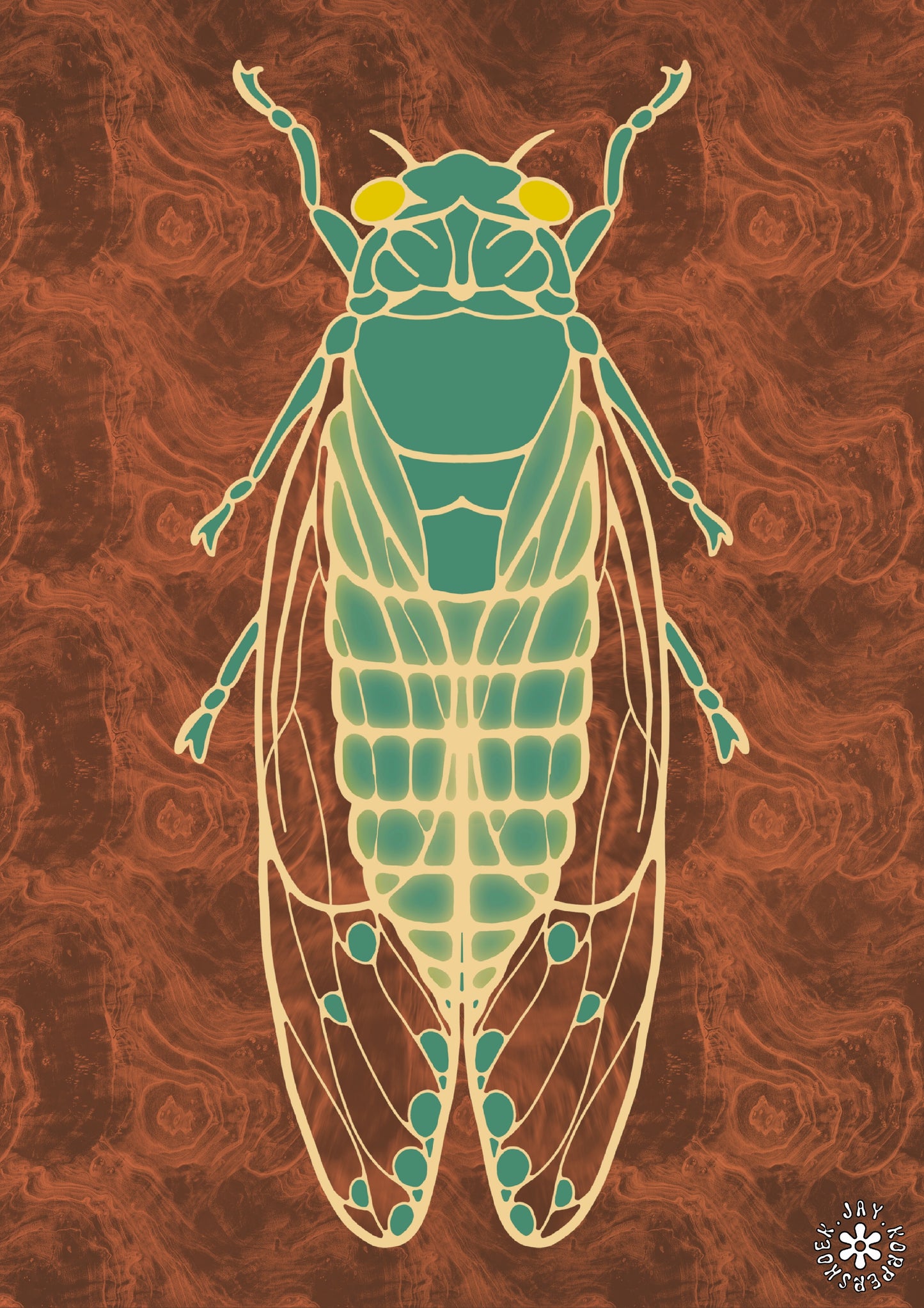 Cicada