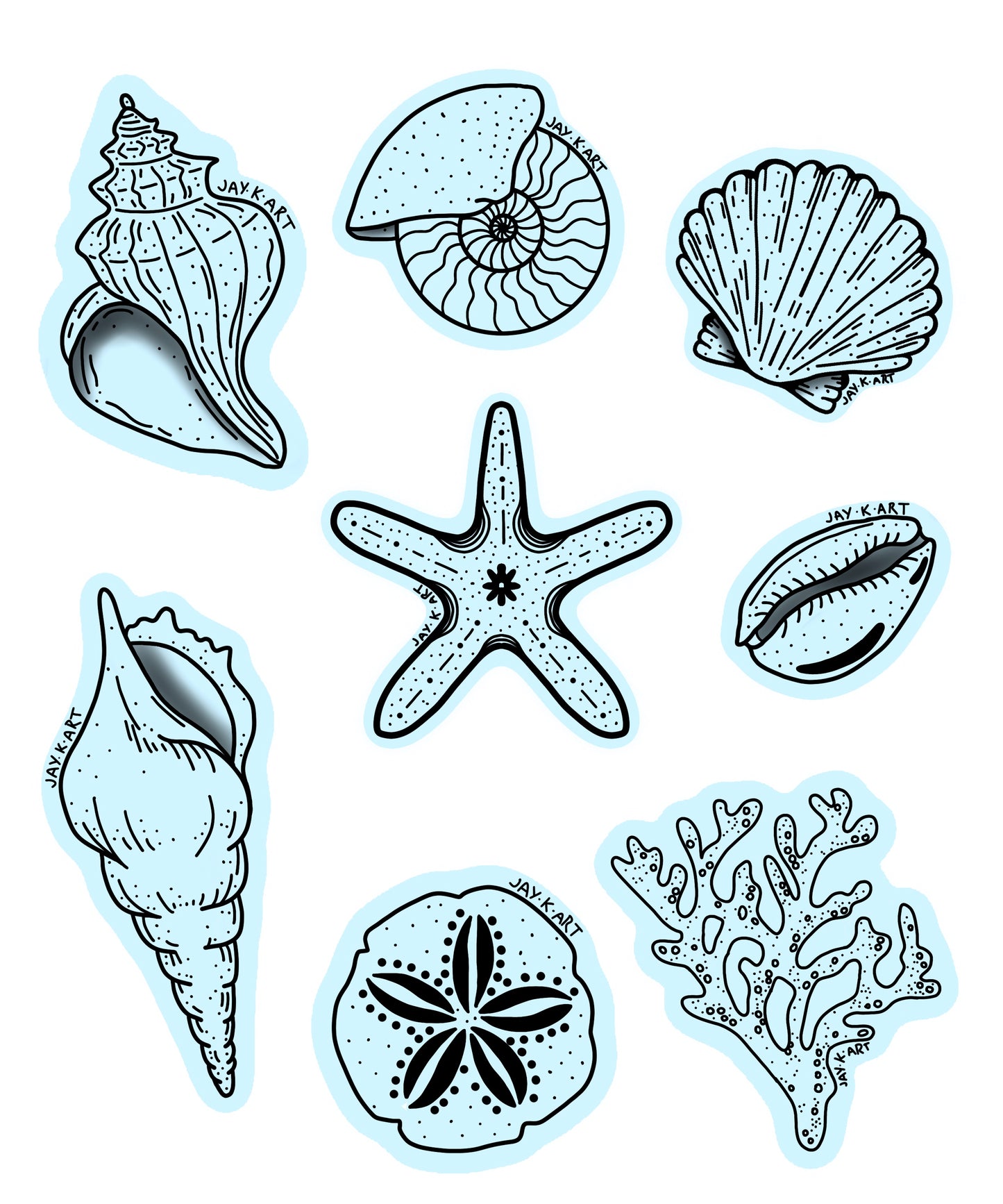 Shell Collection Pack