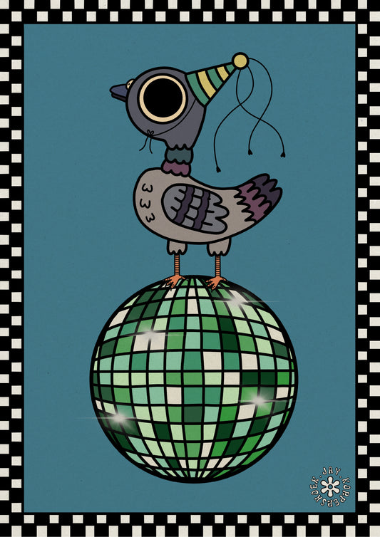 Disco pigeon