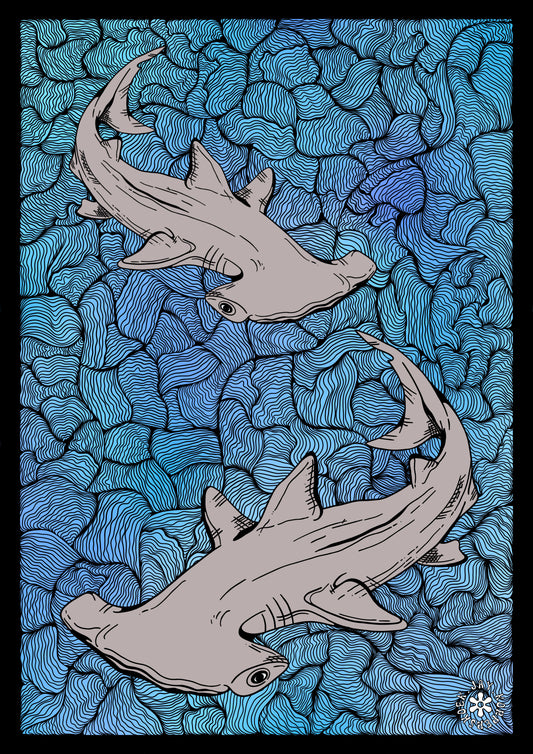 Hammerhead sharks