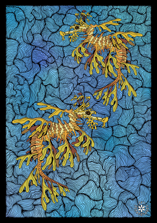 Leafy sea dragon